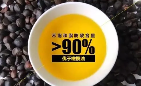 山茶油对身体有什么好处和价值
