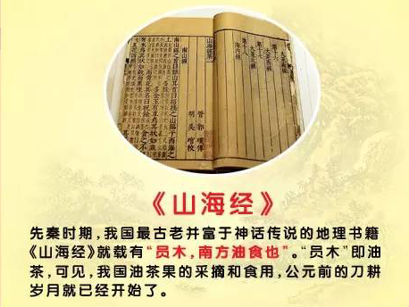 古籍史书对山茶油的记载