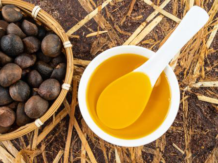 山茶油储存方法