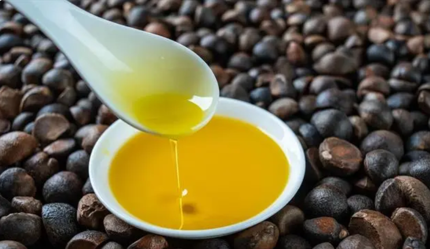 山茶油为啥很少有人吃和很少有人卖？五大原因很现实，带您涨知识了